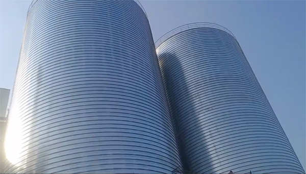 红山街道2座混凝土高架卷板仓